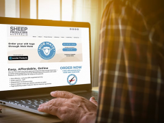 NewLeader Products Partners with Sheep Producers Australia to Launch Online eID Tag Sales for Australian Producers